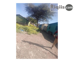 jago iiba   15mx15m = 225m2 borama land for sale - Image 2