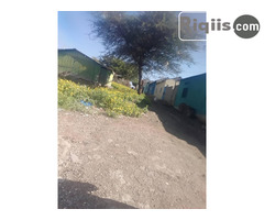 jago iiba   15mx15m = 225m2 borama land for sale - Image 3