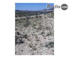 jago iiba  30mx60m = 1800m2 Borama land for sale - Image 1