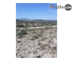 jago iiba  30mx60m = 1800m2 Borama land for sale - Image 2