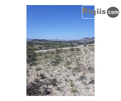 jago iiba  30mx60m = 1800m2 Borama land for sale - Image 3