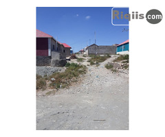 dhul iiba  15mx15m = 225m2 borama land for sale - Image 1