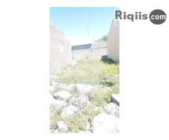 jago iiba   18mx8m = 144m2 Borama land for sale - Image 1