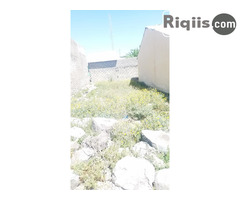 jago iiba   18mx8m = 144m2 Borama land for sale - Image 2