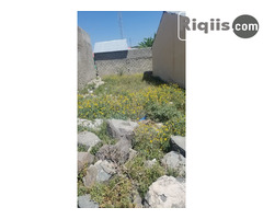 jago iiba   18mx8m = 144m2 Borama land for sale - Image 3