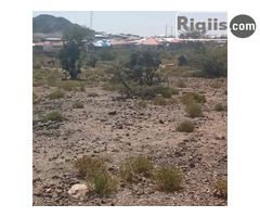 dhul iiba  30mx15m = 450m2 Borama land for sale - Image 2