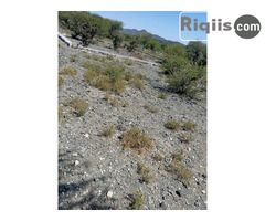 dhul iiba  30mx15m = 450m2 Borama land for sale - Image 3