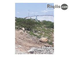 dhul iiba 15mx28m = 420m2 Borama land for sale - Image 2