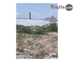 dhul iiba 15mx28m = 420m2 Borama land for sale - Image 3