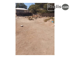 dhul iiba 14mx16m = 224m2 Borama land for sale - Image 1