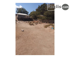 dhul iiba 14mx16m = 224m2 Borama land for sale - Image 2