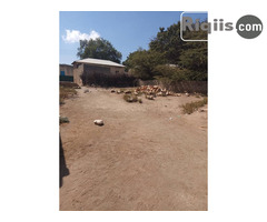 dhul iiba 14mx16m = 224m2 Borama land for sale - Image 3