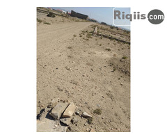 jago 15mx15m = 225m2 Borama land for sale - Image 1