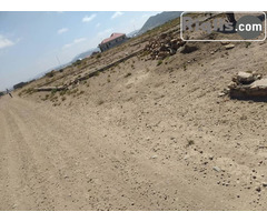 jago 15mx15m = 225m2 Borama land for sale - Image 2