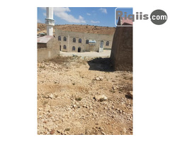 dhul iiba 12mx24m = 288m2 hargeisa land for sale - Image 1