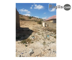 dhul iiba 12mx24m = 288m2 hargeisa land for sale - Image 2