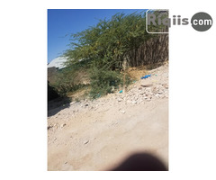 dhul iiba  12mx12m = 144m2 hargeisa land fo sale - Image 1