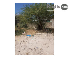 dhul iiba  12mx12m = 144m2 hargeisa land fo sale - Image 3