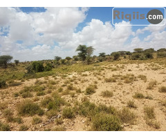 dhul iiba 90mx48m = 4320m2 hargeisa land for sale - Image 1