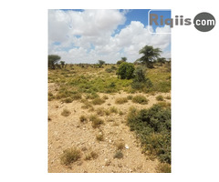 dhul iiba 90mx48m = 4320m2 hargeisa land for sale - Image 2