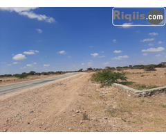 dhul iiba  18mx24m = 432m2 hargeisa land for sale - Image 2