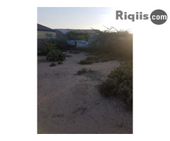 dhul iiba 6mx18m = 108m2 hargeisa land for sale - Image 2