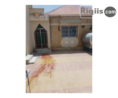 guri kiro hargeisa house for rent - Image 3