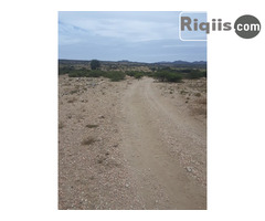 jago iiba   15mx15m = 225m2 borama land for sale - Image 1