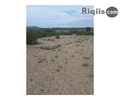 jago iiba   15mx15m = 225m2 borama land for sale - Image 2