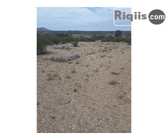 jago iiba   15mx15m = 225m2 borama land for sale - Image 3