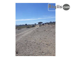 dhul iiba 30mx30m = 900m2 Borama land for sale - Image 3