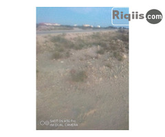 dhul iiba 50mx50m = 2500m2 Borama land for sale - Image 1