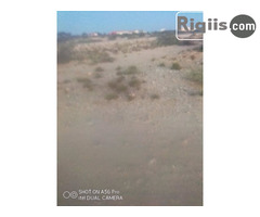 dhul iiba 50mx50m = 2500m2 Borama land for sale - Image 2