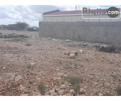 dhul iiba 24mx18m = 432m2 hargeisa land for sale - Image 1