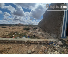 dhul iiba 24mx18m = 432m2 hargeisa land for sale - Image 2