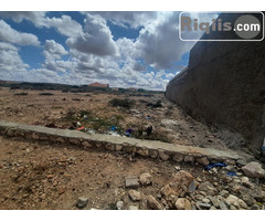 dhul iiba 24mx18m = 432m2 hargeisa land for sale - Image 3