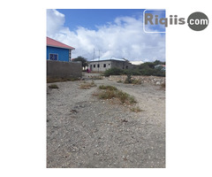 dhul iiba 17mx18m = 306m2 Borama land for sale - Image 1