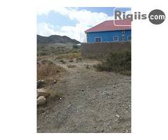 dhul iiba 17mx18m = 306m2 Borama land for sale - Image 2