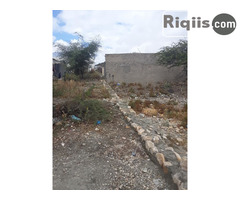 dhul iiba 15mx30m = 450m2 Borama land for sale - Image 1