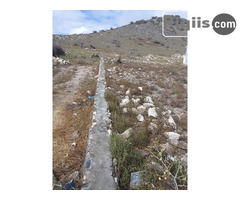 dhul iiba 15mx30m = 450m2 Borama land for sale - Image 2