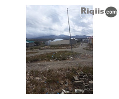 dhul iiba 15mx30m = 450m2 Borama land for sale - Image 3