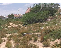 dhul iiba 20mx10m = 200m2 hargeisa land for sale - Image 1