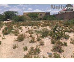 dhul iiba 20mx10m = 200m2 hargeisa land for sale - Image 2