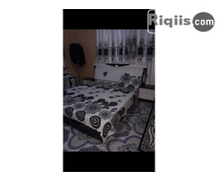 Hurdo Dhamays iiba Borama for sale - Image 1