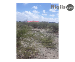 dhul iib 30mx30m = 900m2 Borama land for sale - Image 1