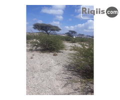 dhul iib 30mx30m = 900m2 Borama land for sale - Image 2