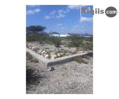 dhul iib 30mx30m = 900m2 Borama land for sale - Image 3