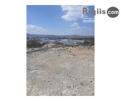 jago iiba 30mx30m = 900m2 Borama land for sale - Image 1