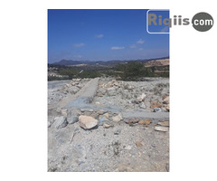 jago iiba 30mx30m = 900m2 Borama land for sale - Image 2