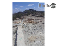 jago iiba 30mx30m = 900m2 Borama land for sale - Image 3